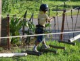 /album/galeria-de-fotos/arvorismo-mais-baixo-jpg/